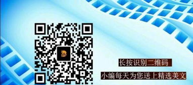 哈爾濱網站建設與推廣 一站式解決方案助力企業新式網絡營銷